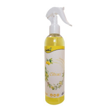 Gaisa atsvaidzinātājs izsmidzināms, Citrus, 300 ml