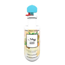 Gaisa atsvaidzinātājs VIBE PRO Citrus Mango, 100ml